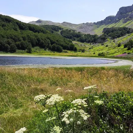 Delle Fate, Bw Signature Collection Hotel